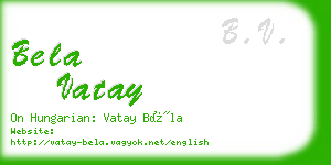 bela vatay business card